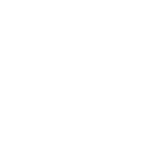 THREE BODY
